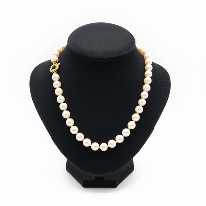 Necklace with white pearls and 18k gold closure (PE-95)